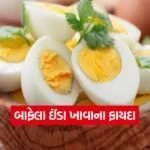dharmishtha 1 9