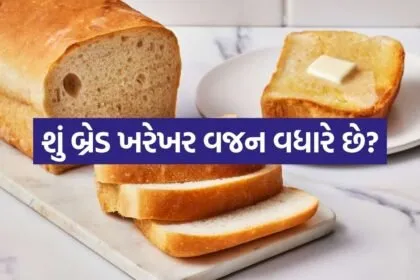 Bread 2204