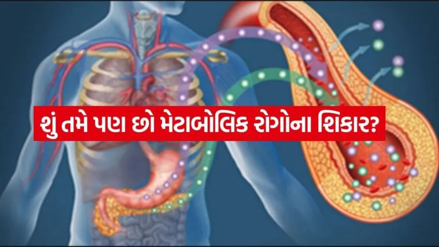 Metabolic diseases 2204