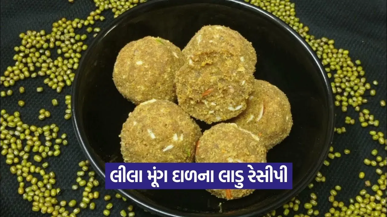 dharmishtha 1 7.jpg