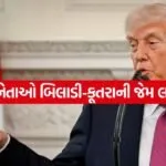 Trump 2404