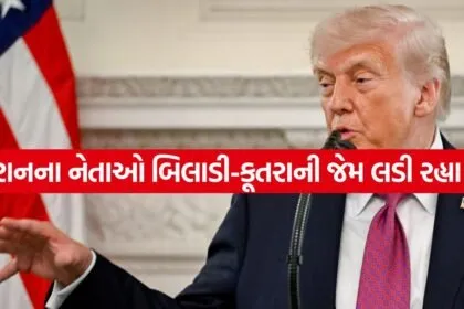 Trump 2404