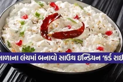 Curd Rice