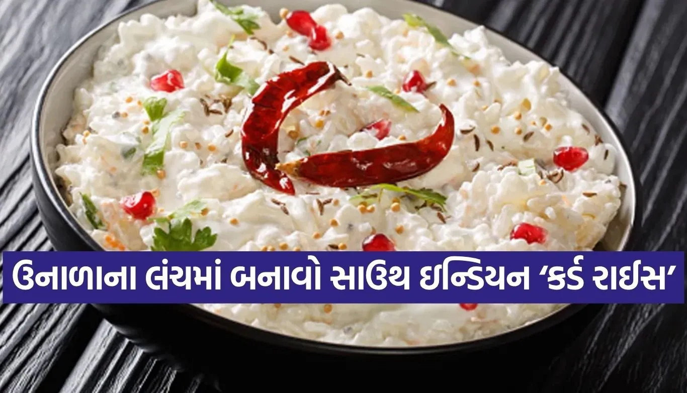 Curd Rice