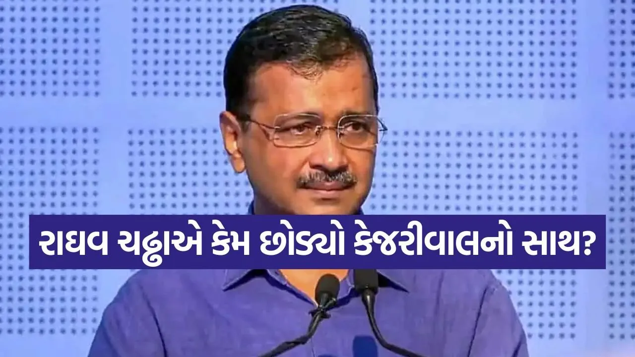 Raghav Chaddha 2404.jpg
