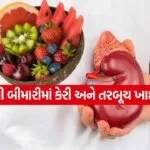 Kidney 2504