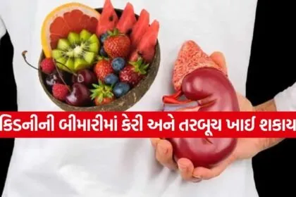 Kidney 2504