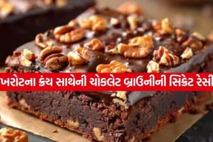 Chocolate Walnut Brownie 2504