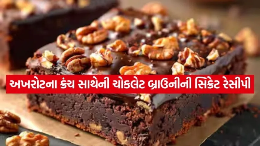 Chocolate Walnut Brownie 2504