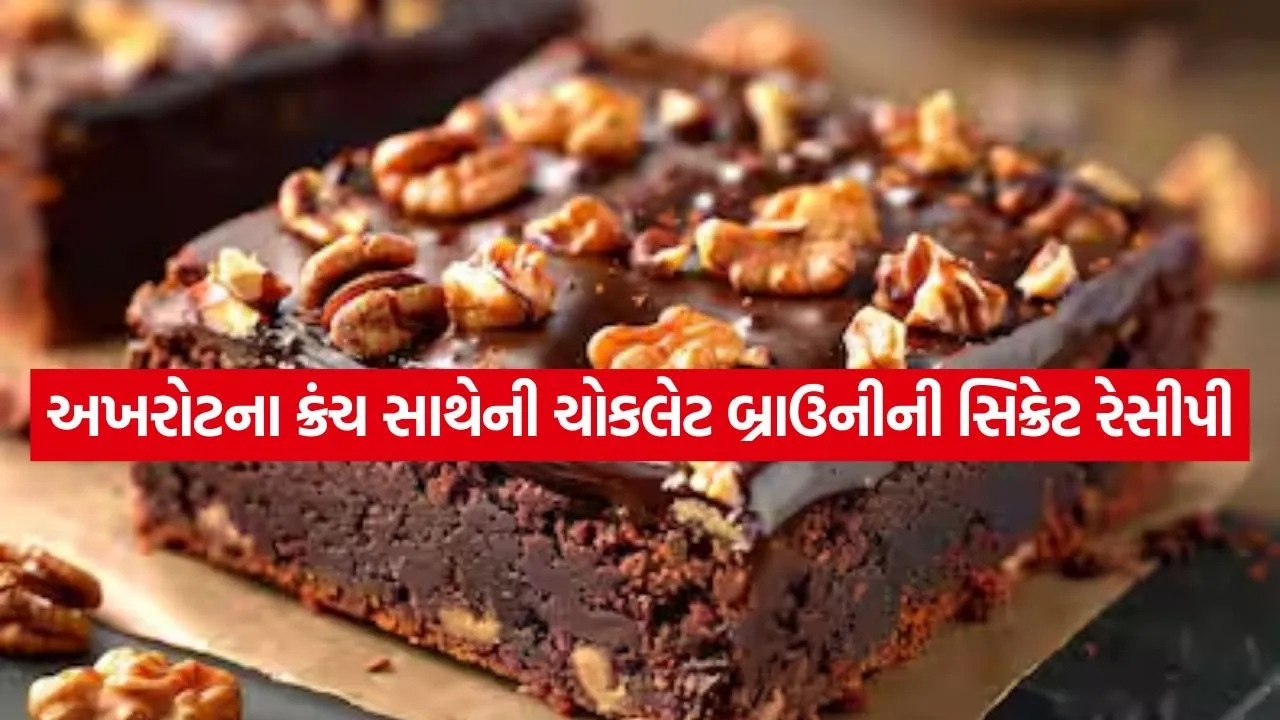 Chocolate Walnut Brownie 2504.jpg