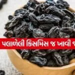 Black Raisins 2504