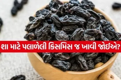 Black Raisins 2504