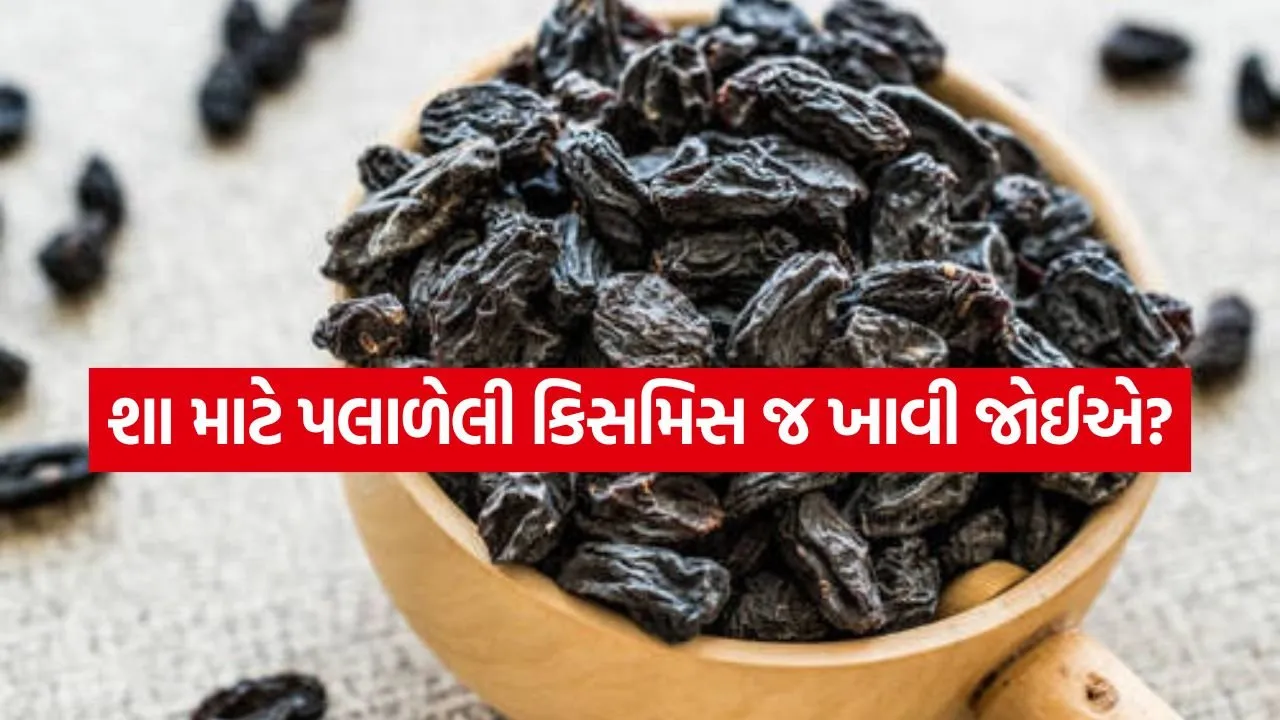 Black Raisins 2504.jpg