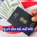 INDIA 1 81