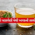 soaked fenugreek seeds 2504