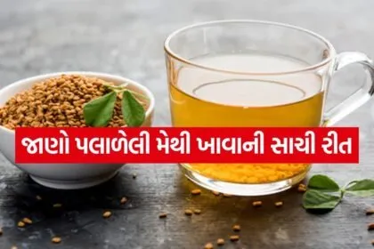 soaked fenugreek seeds 2504