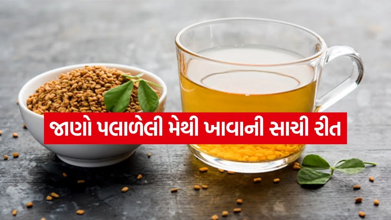 soaked fenugreek seeds 2504.jpg