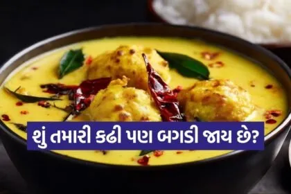 kadhi pakora