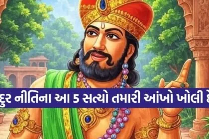 Vidur Niti