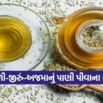 Dharmishtha 9