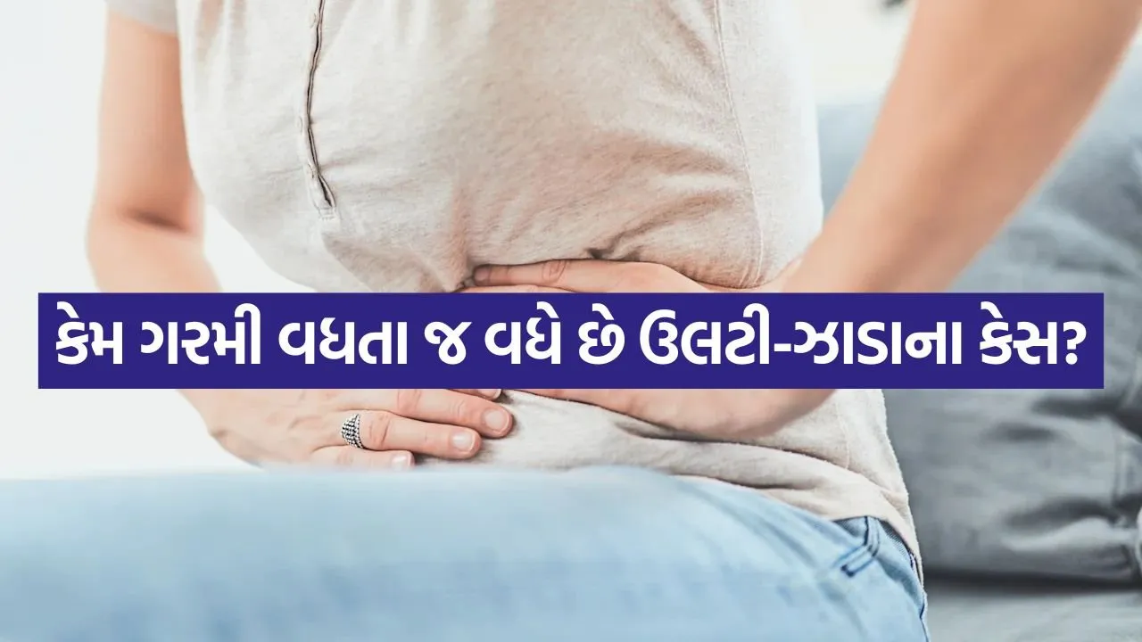 Stomach 2704.jpg
