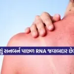 INDIA 1 2026 04 27T152241.093