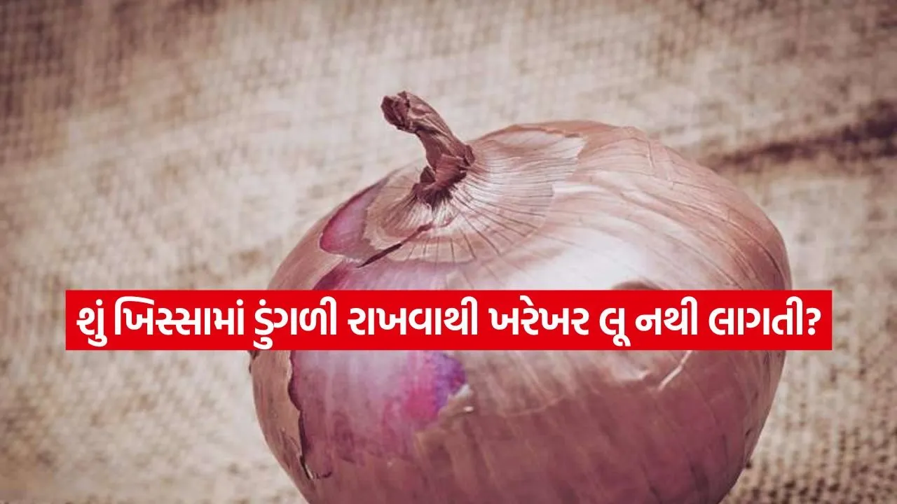 dharmishtha 1 12.jpg