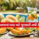 dharmishtha 1 15