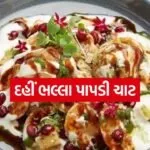 dahi bhalla chaat 3004