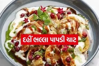 dahi bhalla chaat 3004