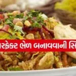Bhel puri 3004