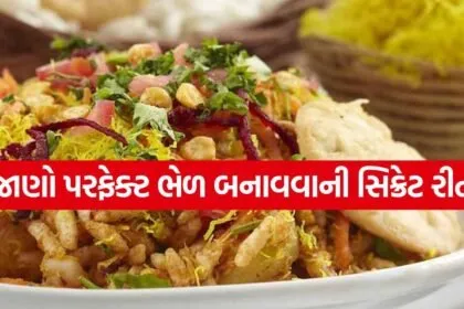 Bhel puri 3004