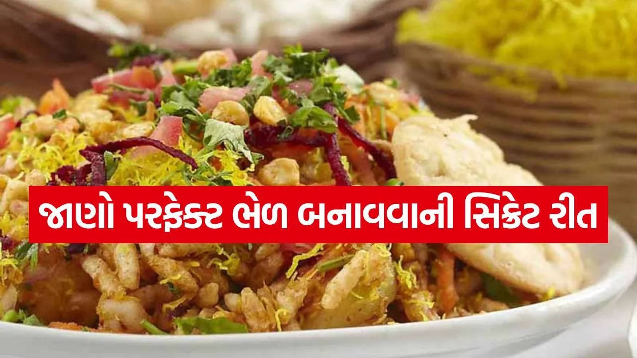 Bhel puri 3004.jpg