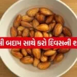 Almond 3004