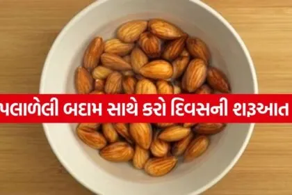 Almond 3004