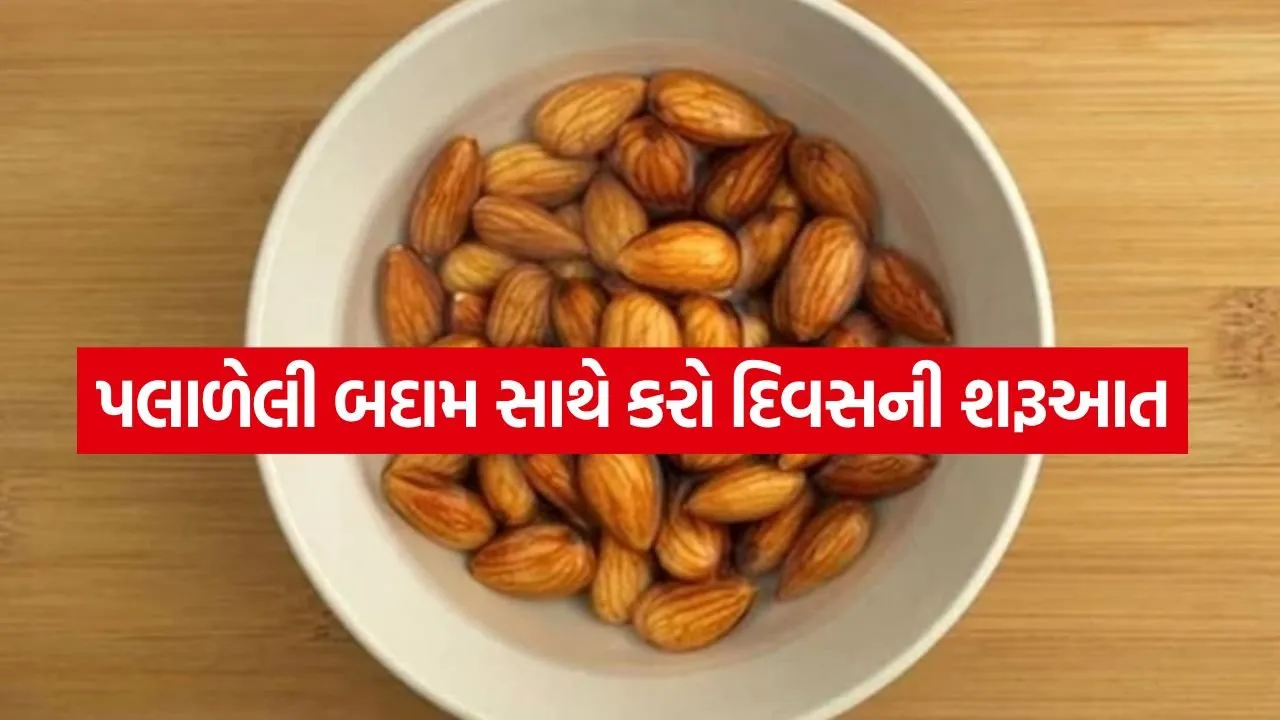 Almond 3004.jpg