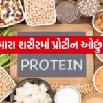 Protein 3004