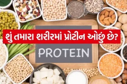 Protein 3004