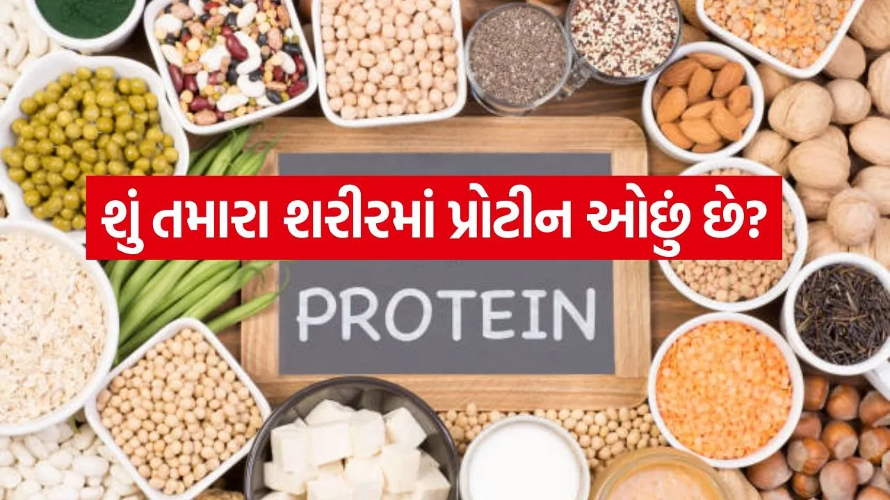 Protein 3004.jpg