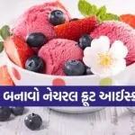 fruit ice cream