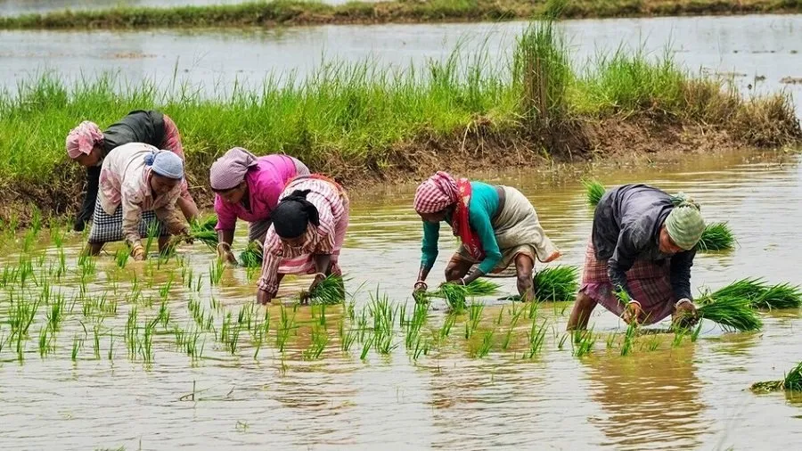 શું તૂટશે ગરમીનો 140 વર્ષનો રેકોર્ડ? જાણો કેમ આ વખતે 'સુપર અલ નીનો' બની રહ્યો છે ચર્ચાનો વિષય 3 kheti.jpg