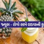 Pineapple 3004