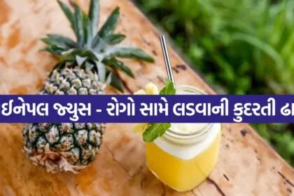 Pineapple 3004