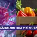 Dharmishtha 8