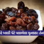 Dharmishtha 9
