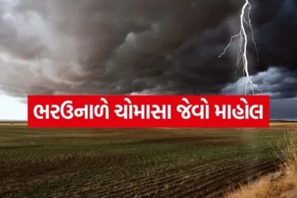 weather 0205