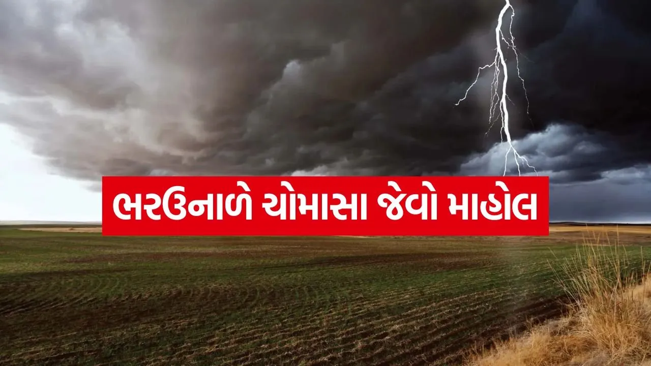 weather 0205.jpg