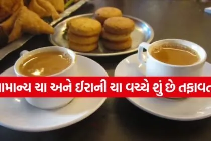 Irani cha 0205