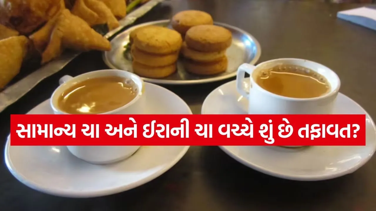 Irani cha 0205.jpg