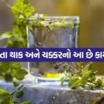 Tulsi water 0205